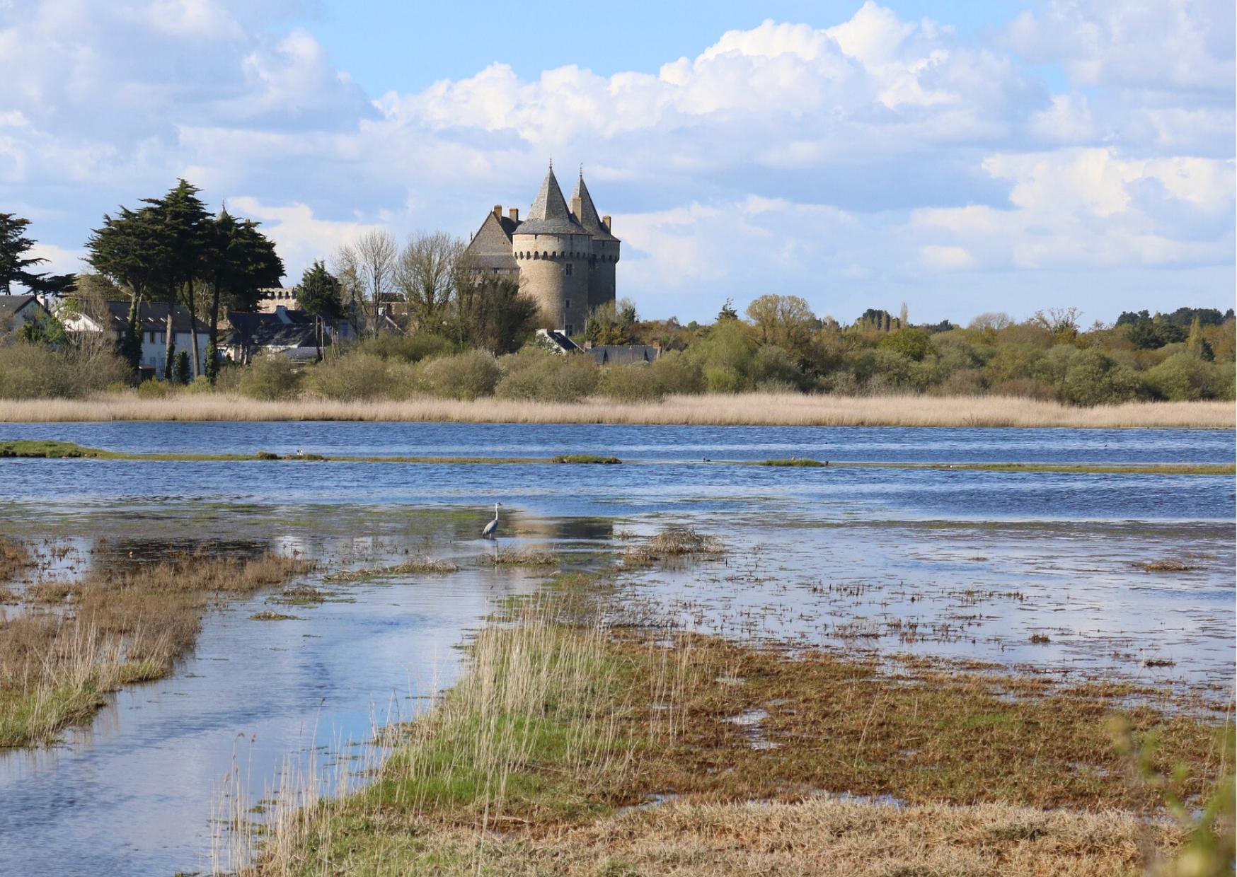 Chateau de Suscinio Presquile de Rhuys 1